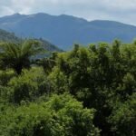 Excursiones Cuba
