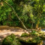 Excursiones en Trinidad