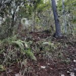 Excursiones Cuba