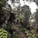 Excursiones Cuba