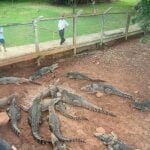 Excursiones en Playa Larga