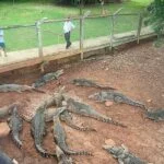 Excursiones en Playa Larga