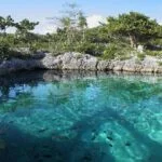 Excursiones en Playa Larga