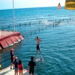 Excursiones en Cienfuego