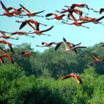 Excursiones en Cienfuego