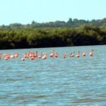 Excursiones en Cienfuego
