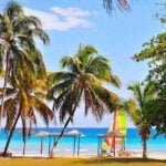 Excursiones en Playa Larga