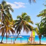 Excursiones en Playa Larga