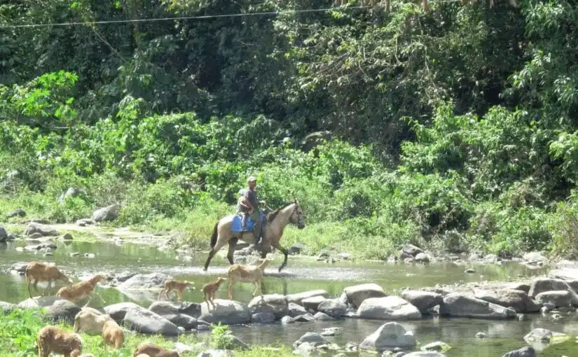 Excursión a la Comandancia La Plata