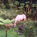 Excursiones Cuba