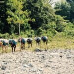 Excursiones Cuba