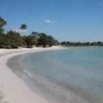 Excursiones en Playa Larga